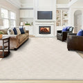 Washable Shag Area Rug with PVC Non-Slip Backing, Soft Fluffy Rectangular Floor Carpet in 5 x 8 or 6 x 9 Feet for Living Room and Bedroom Decor