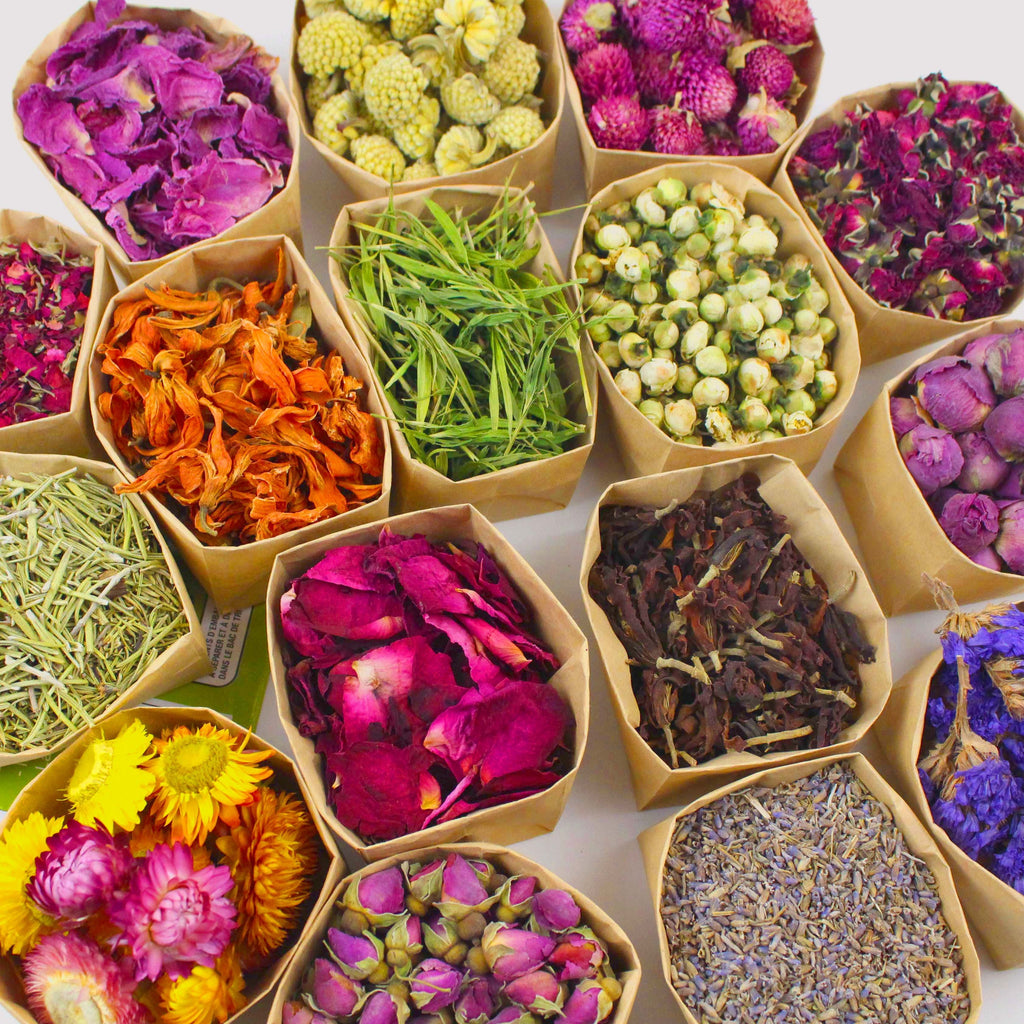 24pcs Set - Dried Flowers Craft Set, Dried Plant Kit, Resin Jewelry Making, DIY Candle, Seasonal Decor, Roses, Jasmine, Peony, Lavender, Forget-me-not, Etc