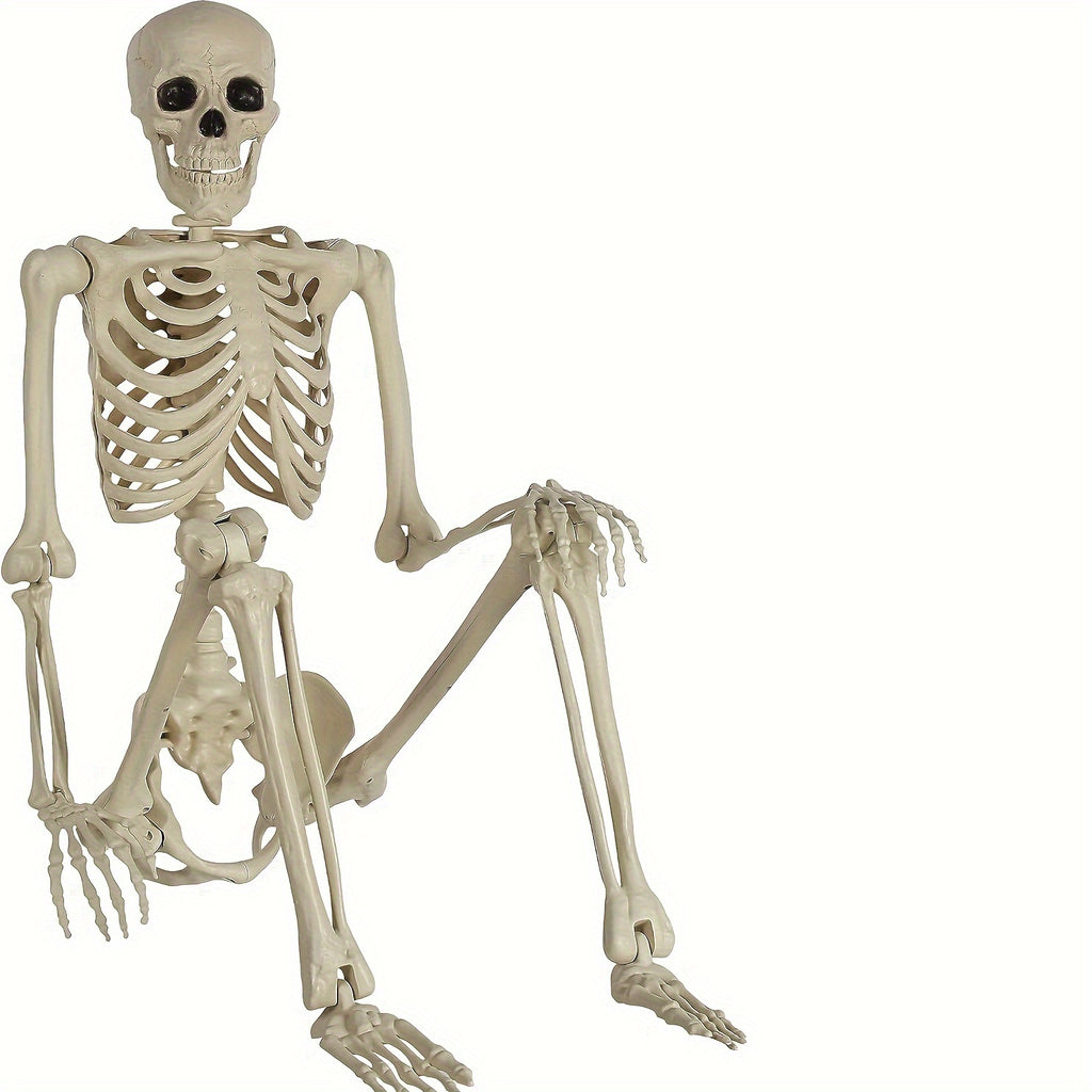 5.4Ft Adjustable Life-Size Human Adult Skeleton Plastic Human Bones with Movable Joints for Halloween Decoration