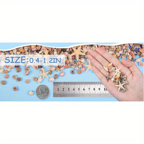 1200pcs Tiny Seashells& 21 Starfish Mixed Bulk Beach Small Shells for Home Decor, Beach Theme Party Decorations, Fish Tank Aquarium Decor, Sea Shells for Crafting Vase Filler, Beach Candle
