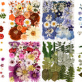 Colorful Dried Flowers and Leaves, 110-Piece Botanical Craft Set for Resin Jewelry, DIY Phone Case Decoration, Scrapbooking, Cards and Framed Home Art