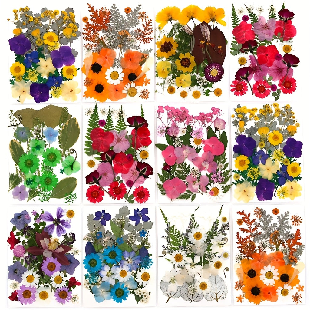 500pcs of Random Materials for Pressed Flowers, Natural Dried Flowers, Resin Molds, Nail Art, Making, Phone Case, Artistic Crafts, Jewelry Making, Scrapbooking, Floral Decorations, Picture Frames, Halloween Decorations, Christmas Gifts, And More