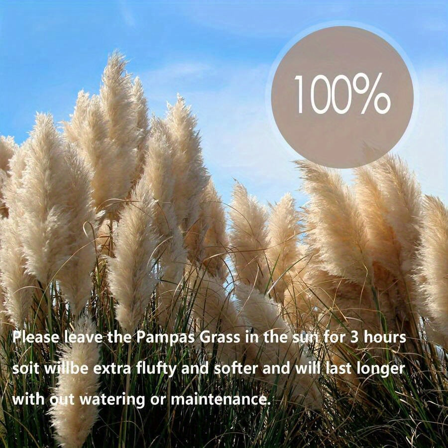 A Bouquet of Six Stalks of Tall, Fluffy Pampas Grass Measuring 39 Inches, Perfect for Weddings, Home Decor, Parties, Office Ceremonies, Valentine'S Day, And Autumn Decorations