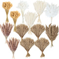 Dried Pampas Grass Decor, 110 or 300 Piece Dried Flower Bouquet Options for Boho Wedding Centerpieces, Modern Living Rooms, Home Tables and Office Styling