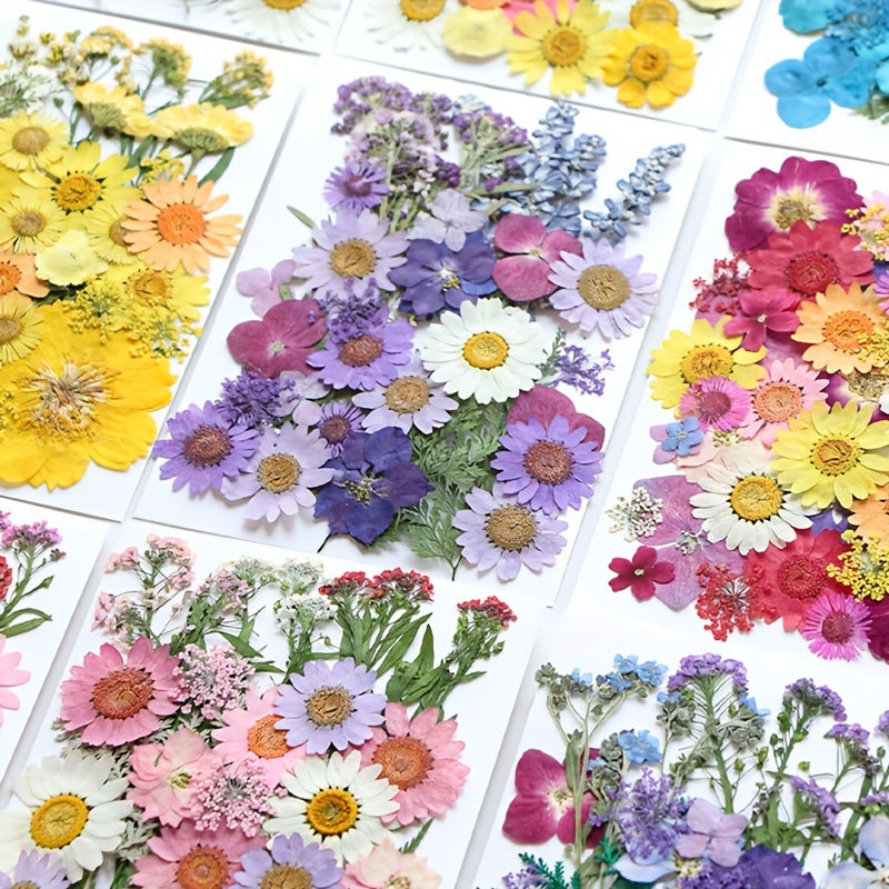 153-160pcs Vibrant Dried Pressed Flowers And Leaves Set - Nature-Inspired Decoration Kit for Crafts, Resin Jewelry, Scrapbooking And More