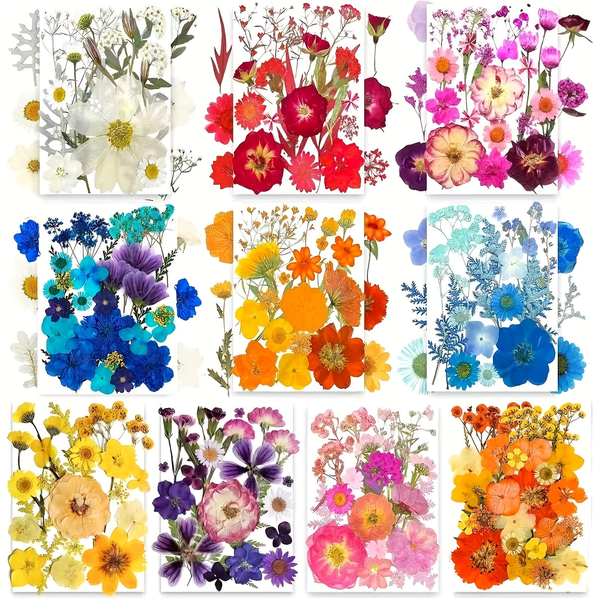 500pcs of Random Materials for Pressed Flowers, Natural Dried Flowers, Resin Molds, Nail Art, Making, Phone Case, Artistic Crafts, Jewelry Making, Scrapbooking, Floral Decorations, Picture Frames, Halloween Decorations, Christmas Gifts, And More