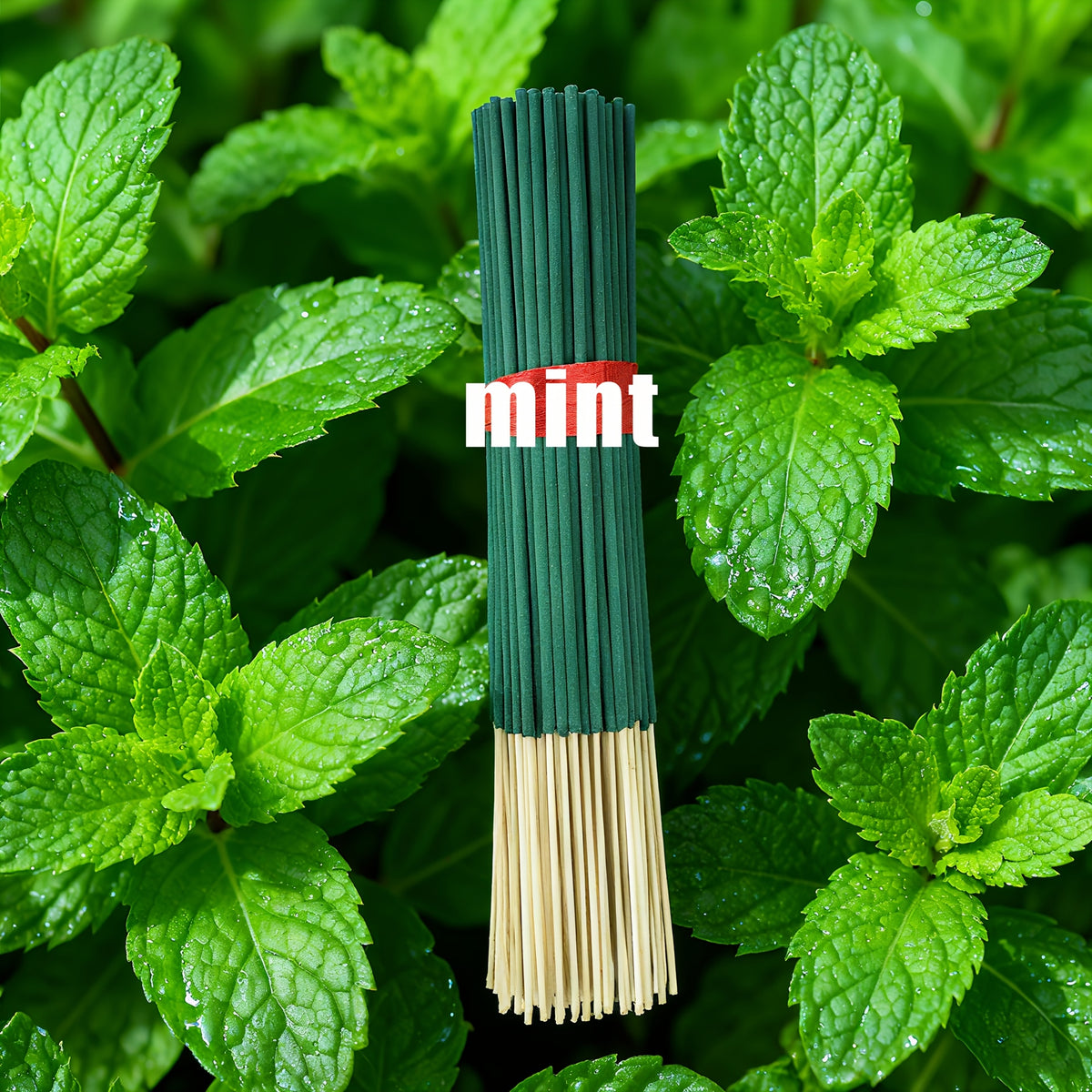 The 7pcs Forest Series Combination Incense Sticks Feature Soaking Aromas Of Vanilla, Eucalyptus, Frankincense, Sandalwood, Citronella, Sage, And Peppermint Essential Oils. They Boast Novel Colors, Unique Scents, And Long-lasting Fragrance