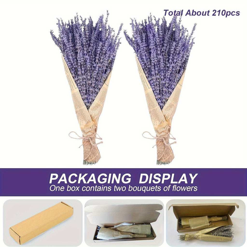 2 Bundles Dried Lavender Bundles, Total of about 210pcs 17-Inch Natural Dried Lavender Flowers for Shower, Home Decoration, Home Fragrance, Wedding Crafts Decor, Photo Props