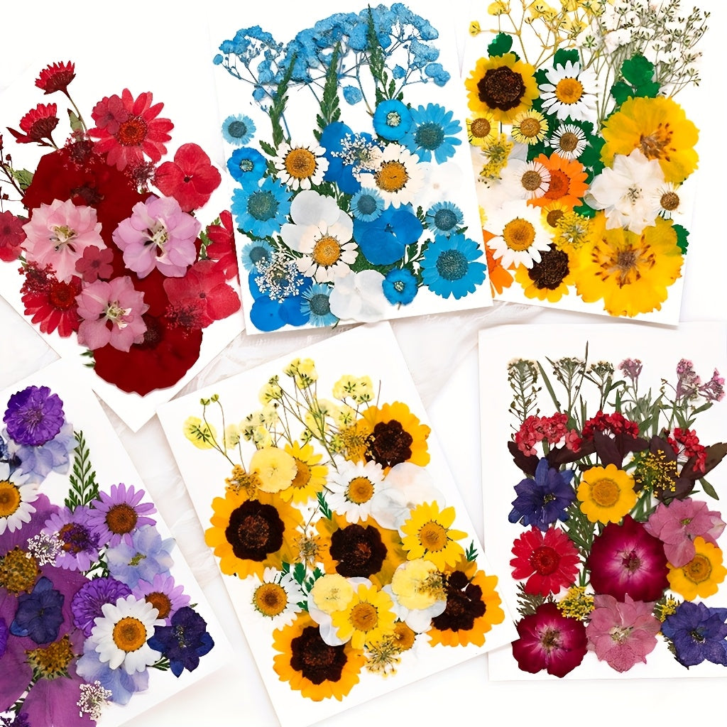 500pcs of Random Materials for Pressed Flowers, Natural Dried Flowers, Resin Molds, Nail Art, Making, Phone Case, Artistic Crafts, Jewelry Making, Scrapbooking, Floral Decorations, Picture Frames, Halloween Decorations, Christmas Gifts, And More