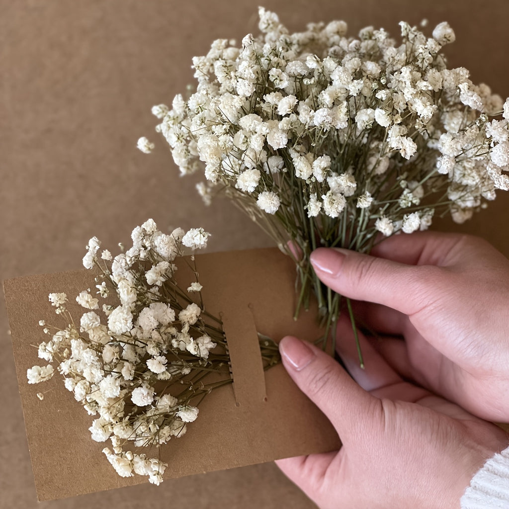 110pcs White Mini Dried Baby'S Breath Bouquet | Pampas Grass, Perfect for Arrangements, Greeting Cards, Weddings, Home & Office Decor