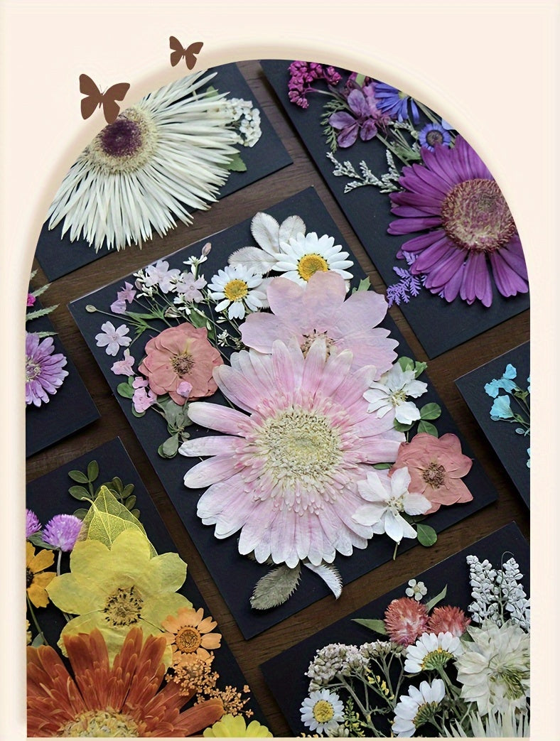 60pcs Dried Pressed Flowers For Resin, Real Pressed Flowers Dry Leaves Bulk Natural Herbs Kit For Scrapbooking DIY Art Crafts, Epoxy Resin Jewelry Molds, Candle, Soap Making, Nails Décor
