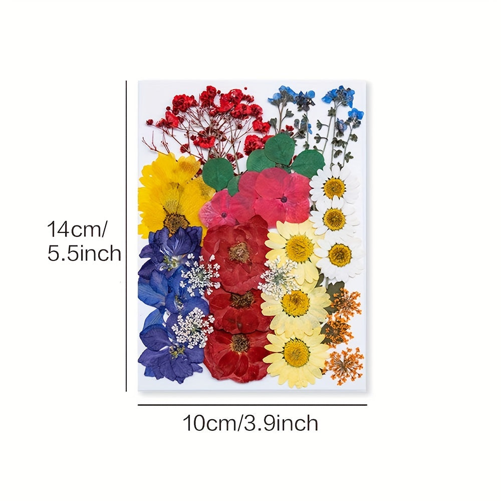 140pcs Vibrant Dried Flowers and Leaves Set - Nature-Inspired Decoration Kit for DIY Crafts, Resin Jewelry, Scrapbooking and More