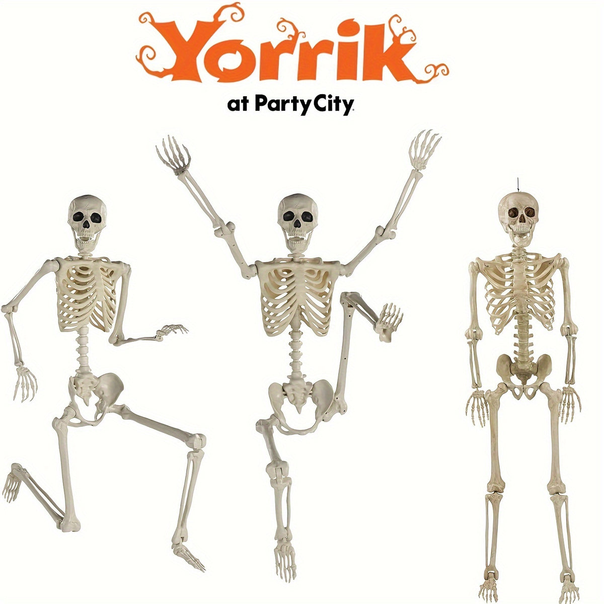5.4Ft Adjustable Life-Size Human Adult Skeleton Plastic Human Bones with Movable Joints for Halloween Decoration