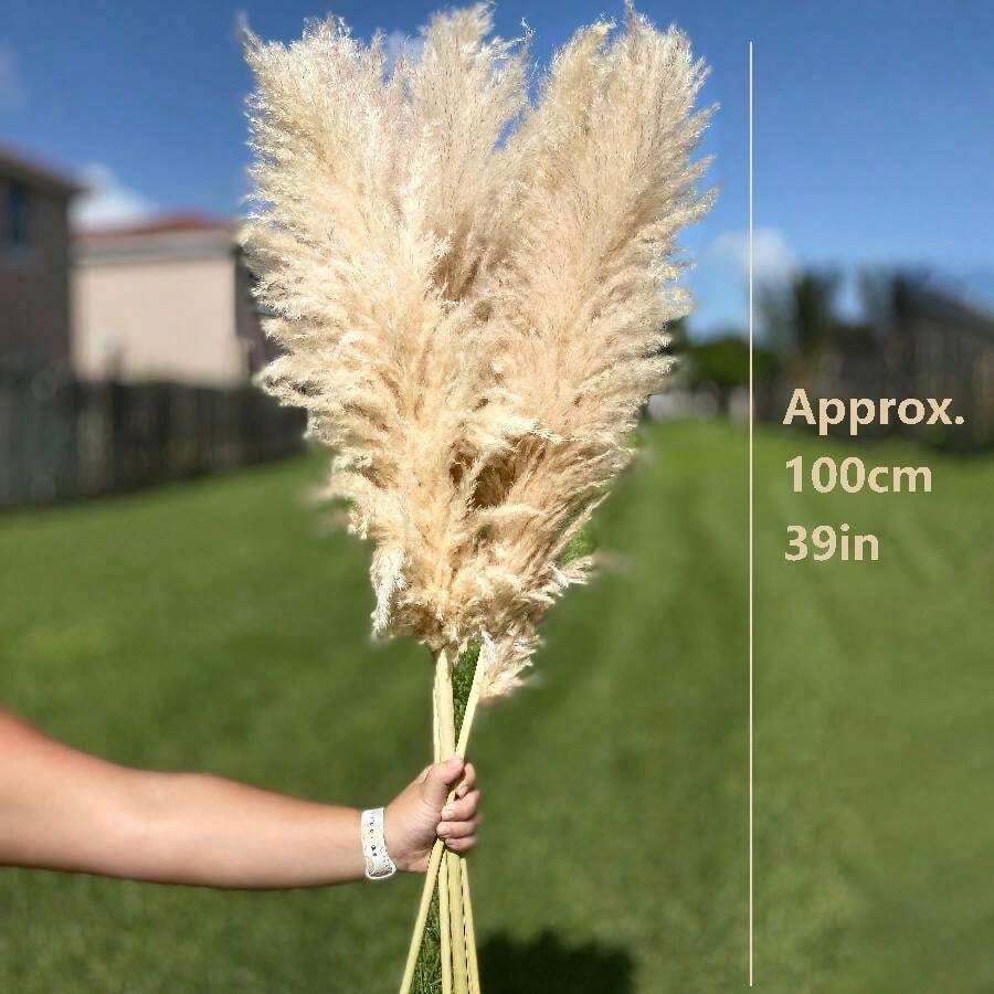 A Bouquet of Six Stalks of Tall, Fluffy Pampas Grass Measuring 39 Inches, Perfect for Weddings, Home Decor, Parties, Office Ceremonies, Valentine'S Day, And Autumn Decorations