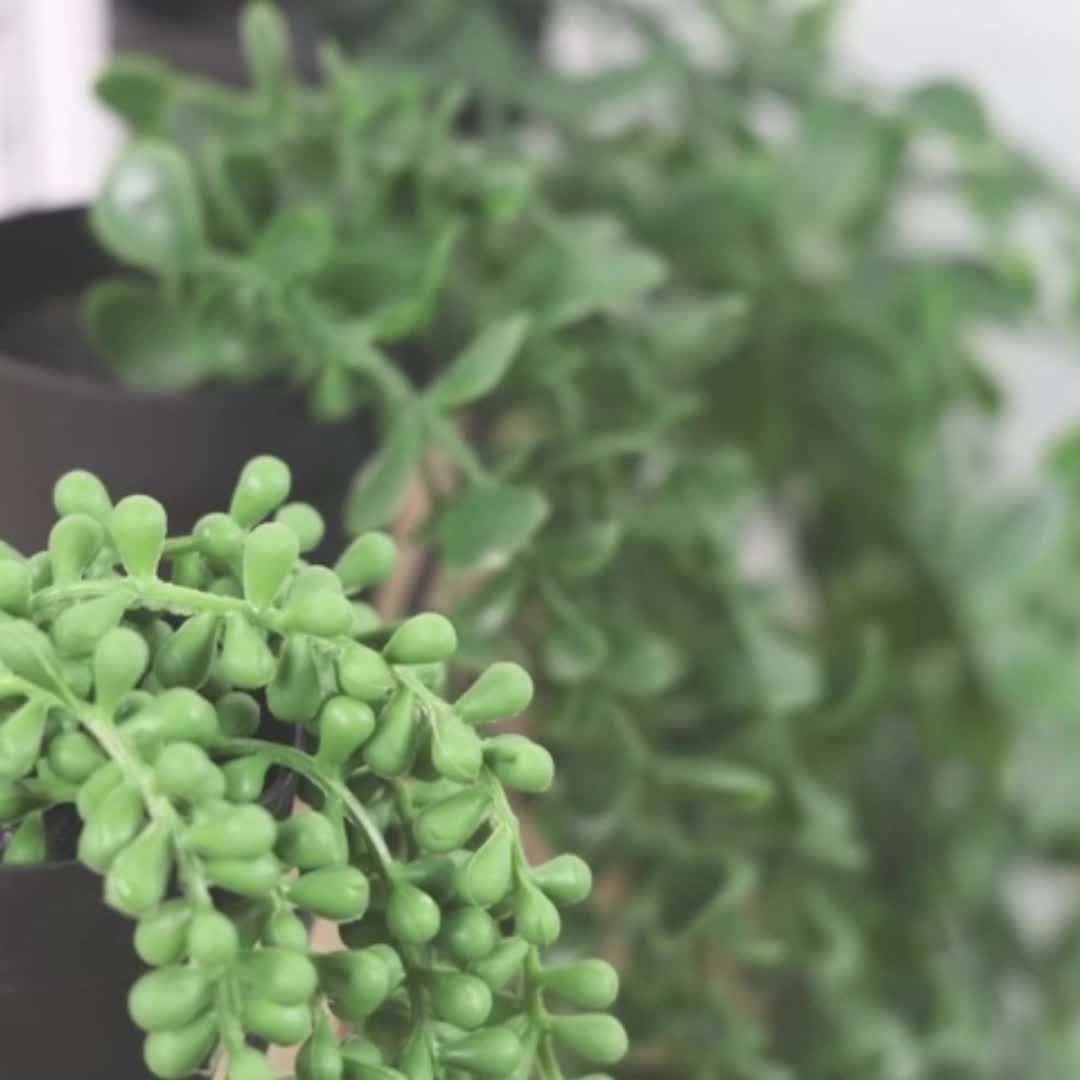 Faux Hanging Plants 4 Pack, Artificial Plant Decorations for Shelf Styling, Indoor Room Accents and Outdoor Displays in Two Set Options