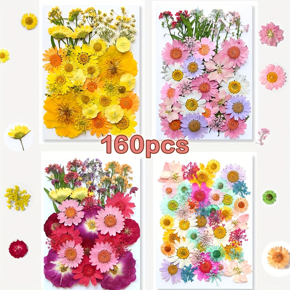 153-160pcs Vibrant Dried Pressed Flowers And Leaves Set - Nature-Inspired Decoration Kit for Crafts, Resin Jewelry, Scrapbooking And More