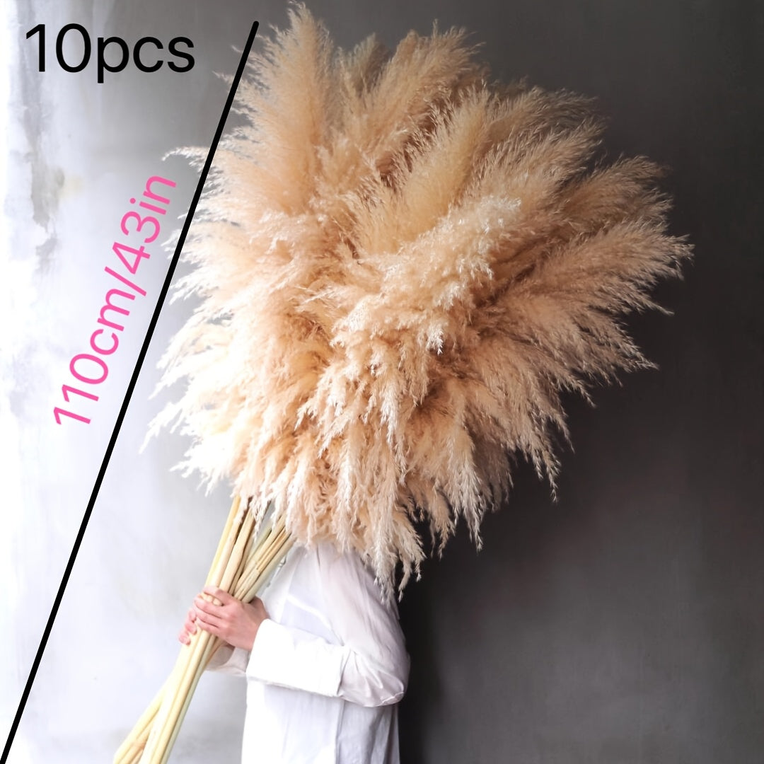 10 Stalks Of 45 Inch (about 115cm Tall) Ultra High Pampas Grass, Suitable for High End Decoration Ideal for Floor Vases, Living Room Floors, Floor Plants, Decorative Displays, And Woven Wall Decorations.