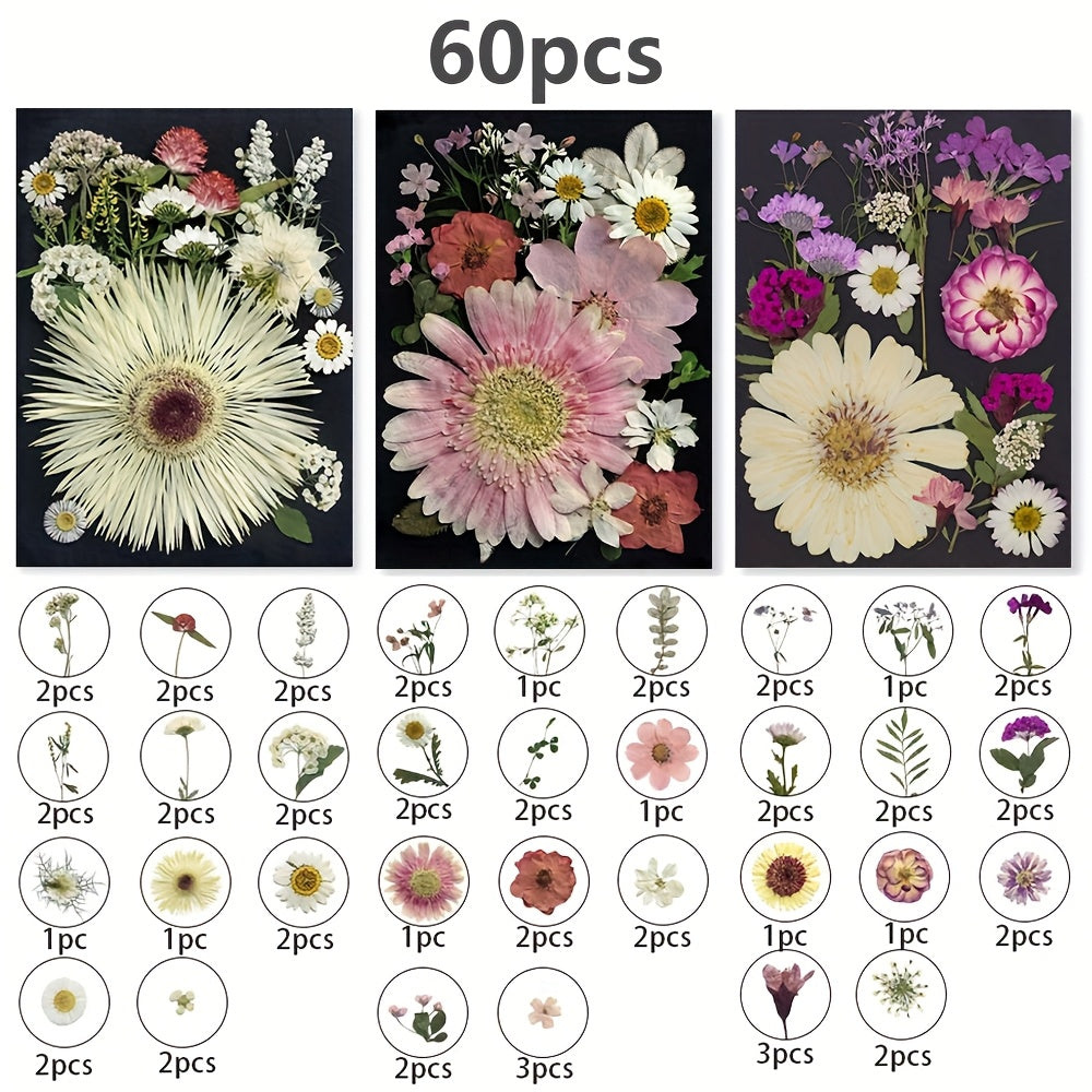60pcs Dried Pressed Flowers For Resin, Real Pressed Flowers Dry Leaves Bulk Natural Herbs Kit For Scrapbooking DIY Art Crafts, Epoxy Resin Jewelry Molds, Candle, Soap Making, Nails Décor