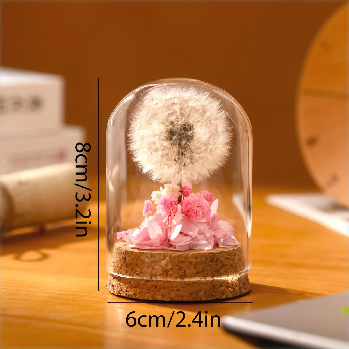 Eternal Dandelion in Glass Dome Decoration - Preserved Floral arrangement with Transparent Display Case, No Electricity Needed Home/Office/Desk Decor - Perfect Gift Box for Mother's Day, Birthday, Christmas, Teacher Appreciation - Long-Lasting Keepsake, F