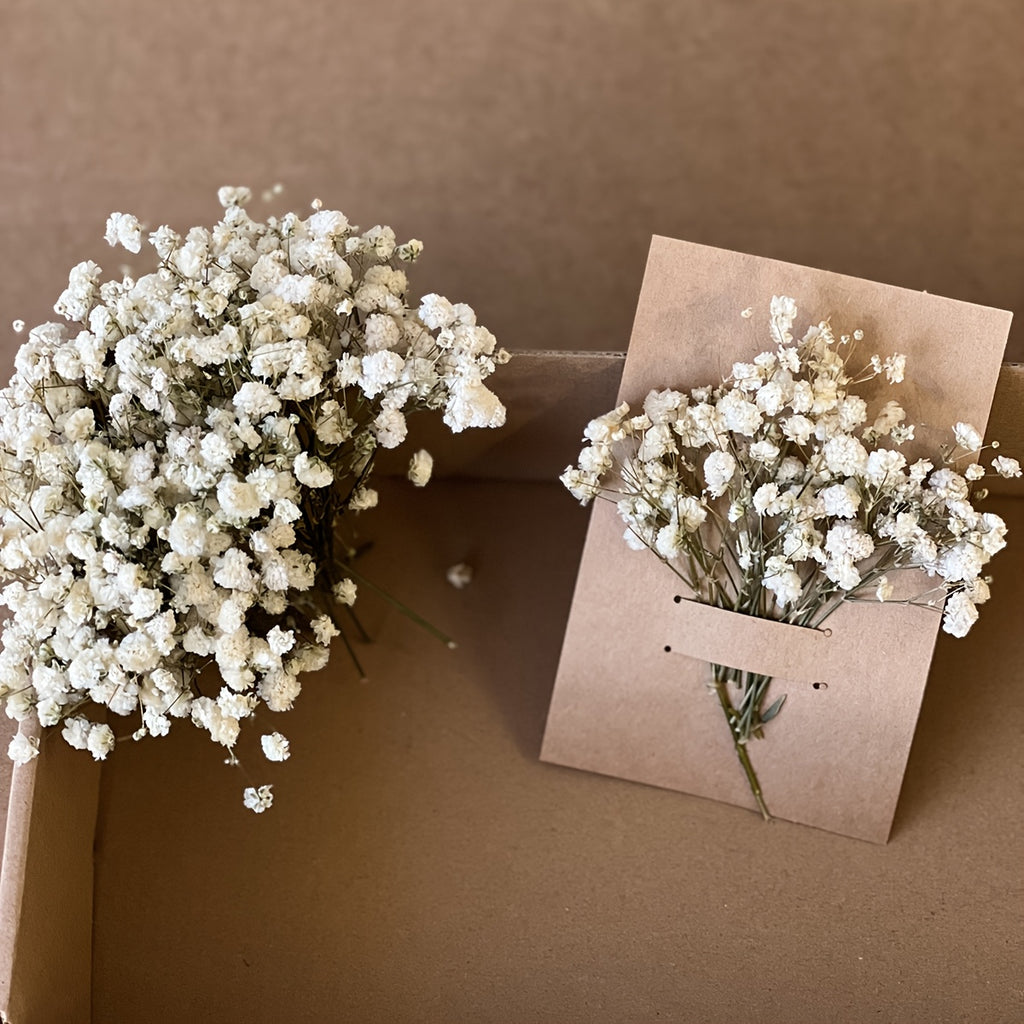 110pcs White Mini Dried Baby'S Breath Bouquet | Pampas Grass, Perfect for Arrangements, Greeting Cards, Weddings, Home & Office Decor