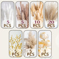 Pampas Grass Rose Bouquet, 51-Piece Dried Floral Arrangement with Artificial White and Beige Roses for Boho Wedding Tables and Farmhouse Decor, No Vase