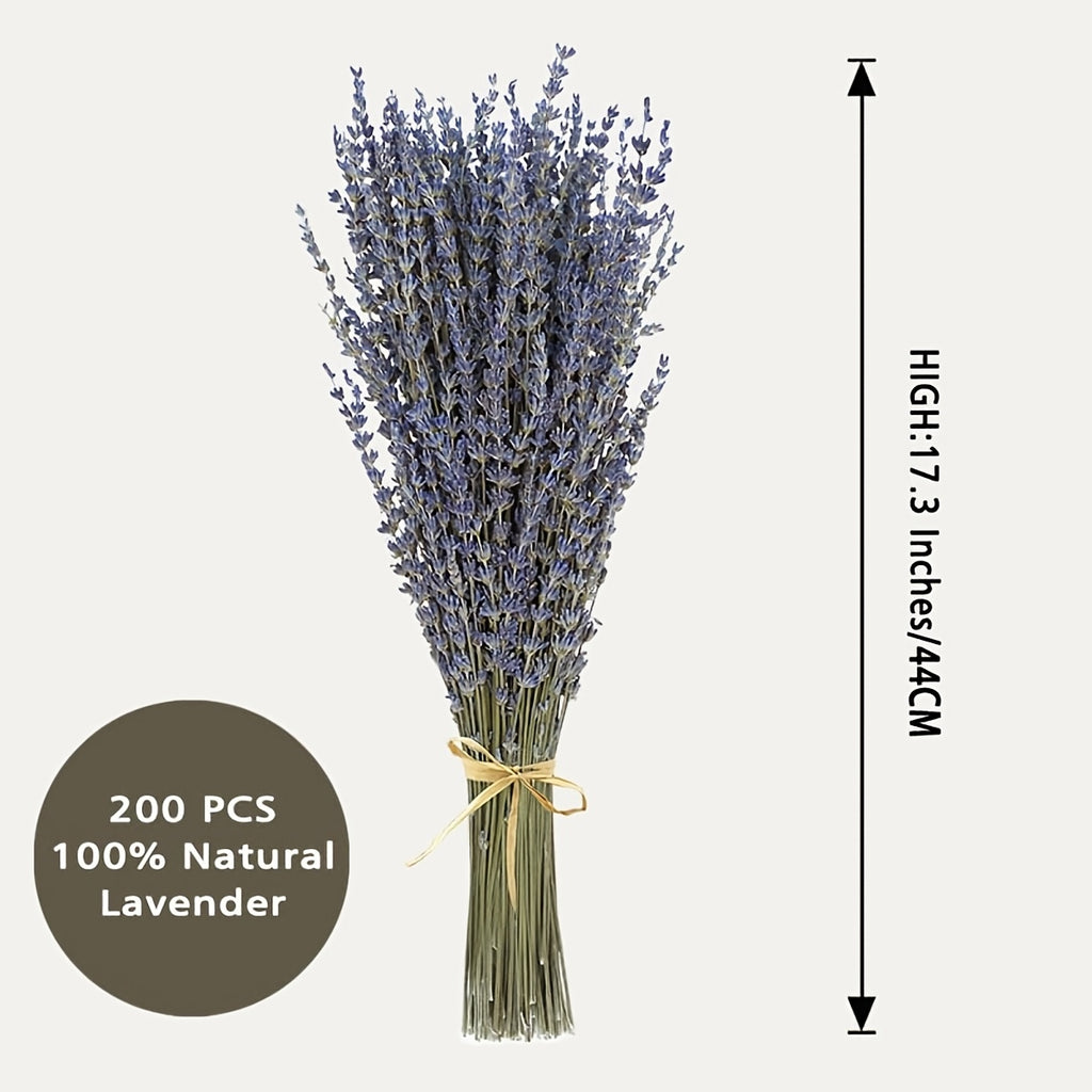 Two Bunches of Dried Lavender, Completely Fresh And Natural, Perfect for Bathroom Photo Props, Crafts, And Decoration. Each Bunch Measures 15-17 Inches, Ideal for Shower, Wedding Vase Decor, And Home Fragrance, Totaling 200-220 Stems (100G/3.5Oz)