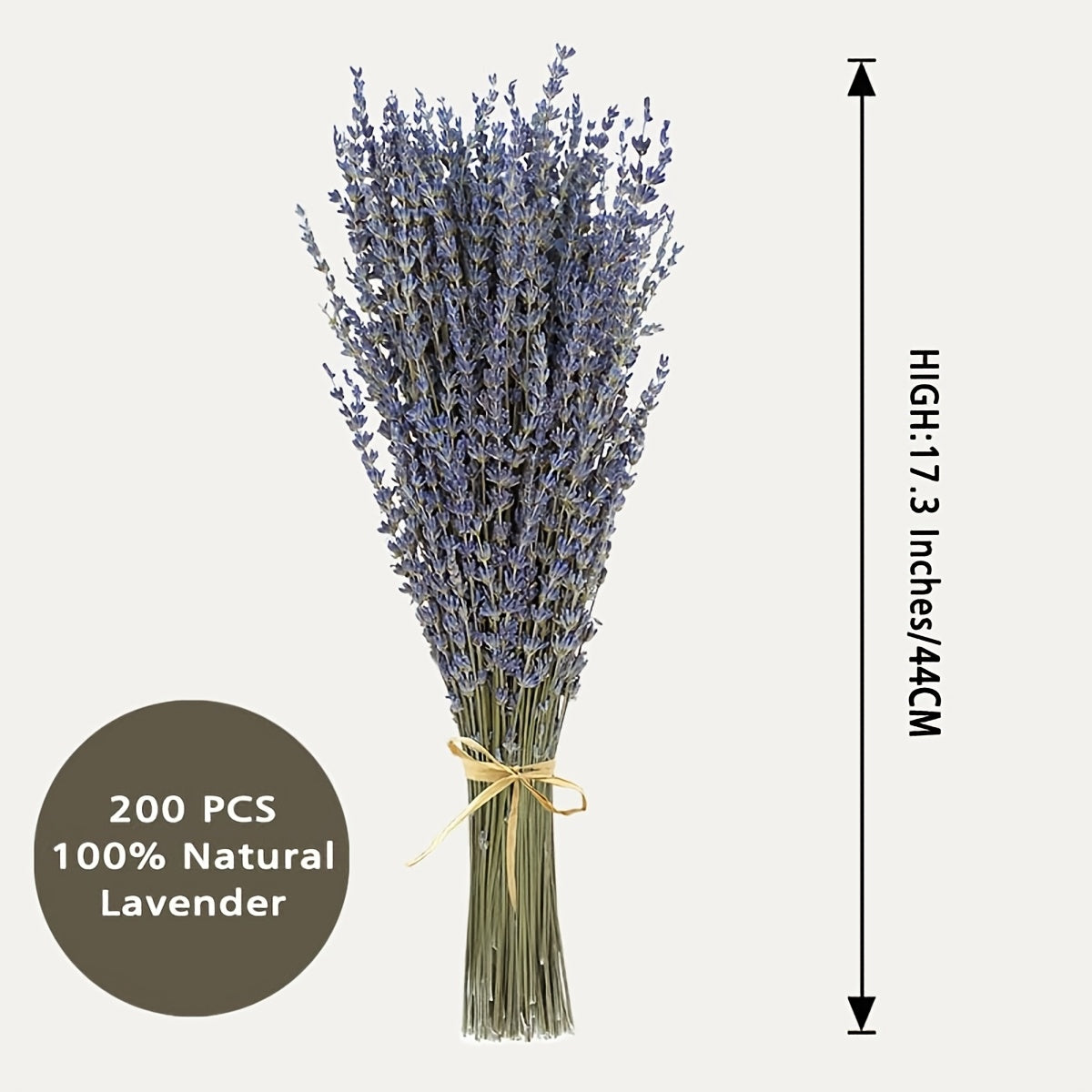Two Bunches of Dried Lavender, Completely Fresh And Natural, Perfect for Bathroom Photo Props, Crafts, And Decoration. Each Bunch Measures 15-17 Inches, Ideal for Shower, Wedding Vase Decor, And Home Fragrance, Totaling 200-220 Stems (100G/3.5Oz)