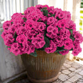 Artificial Flower Bundles for Outdoor Decor, 8 or 16 Piece Options with Poinsettia, Geranium, Marigold and Hydrangea Styles for Patio and Home Centerpieces