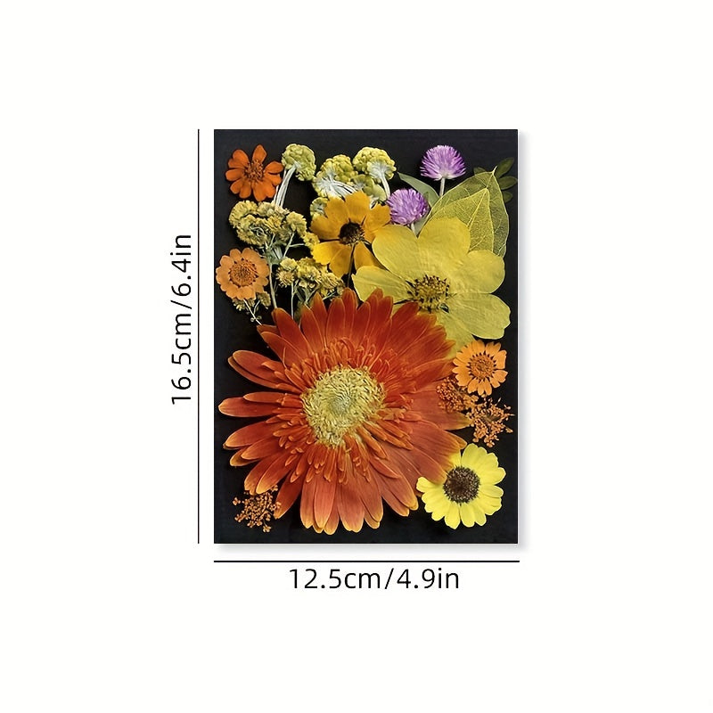 60pcs Dried Pressed Flowers For Resin, Real Pressed Flowers Dry Leaves Bulk Natural Herbs Kit For Scrapbooking DIY Art Crafts, Epoxy Resin Jewelry Molds, Candle, Soap Making, Nails Décor