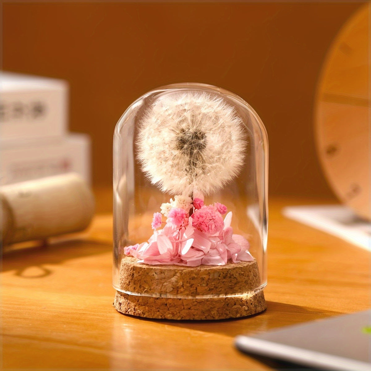 Eternal Dandelion in Glass Dome Decoration - Preserved Floral arrangement with Transparent Display Case, No Electricity Needed Home/Office/Desk Decor - Perfect Gift Box for Mother's Day, Birthday, Christmas, Teacher Appreciation - Long-Lasting Keepsake, F