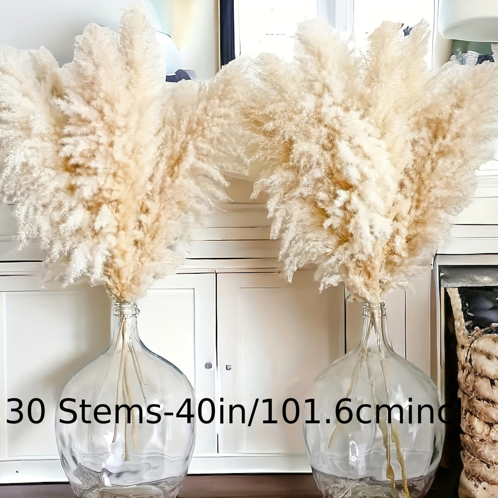 40" Inch 30 Stems Natural Pampas Grass Decor Tall, Pampas Grass, Tall Pampas Grass for Wedding, Party, Farmhouse, Boho Home Decor
