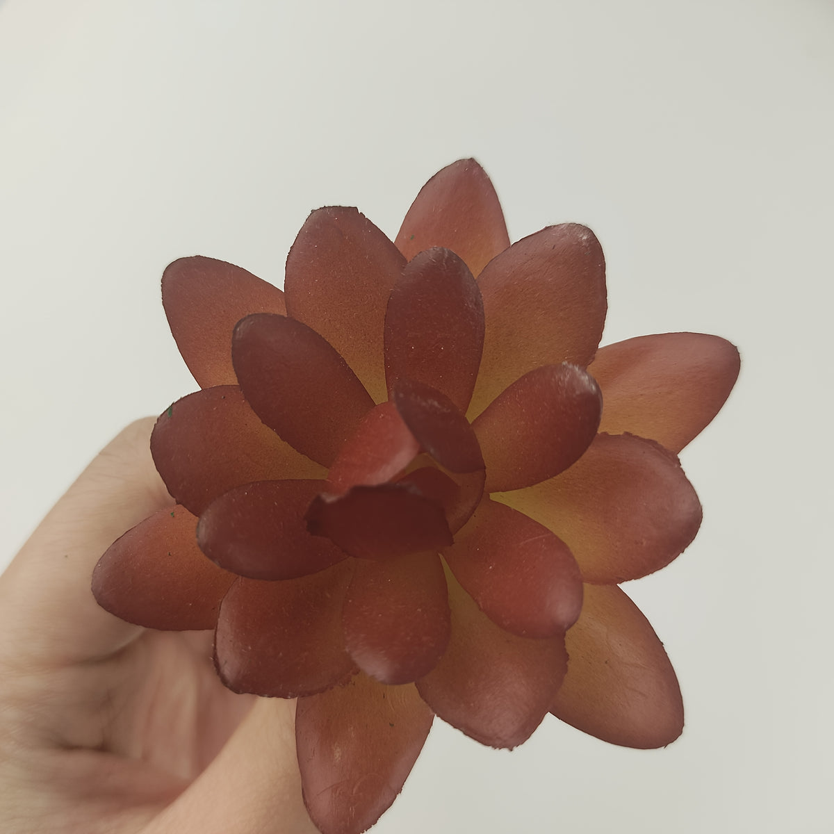 Artificial Succulent Picks, 20-Piece Random Assortment of Unpotted Faux Plants for DIY Arrangements, Shelf Displays and Indoor Home Decor