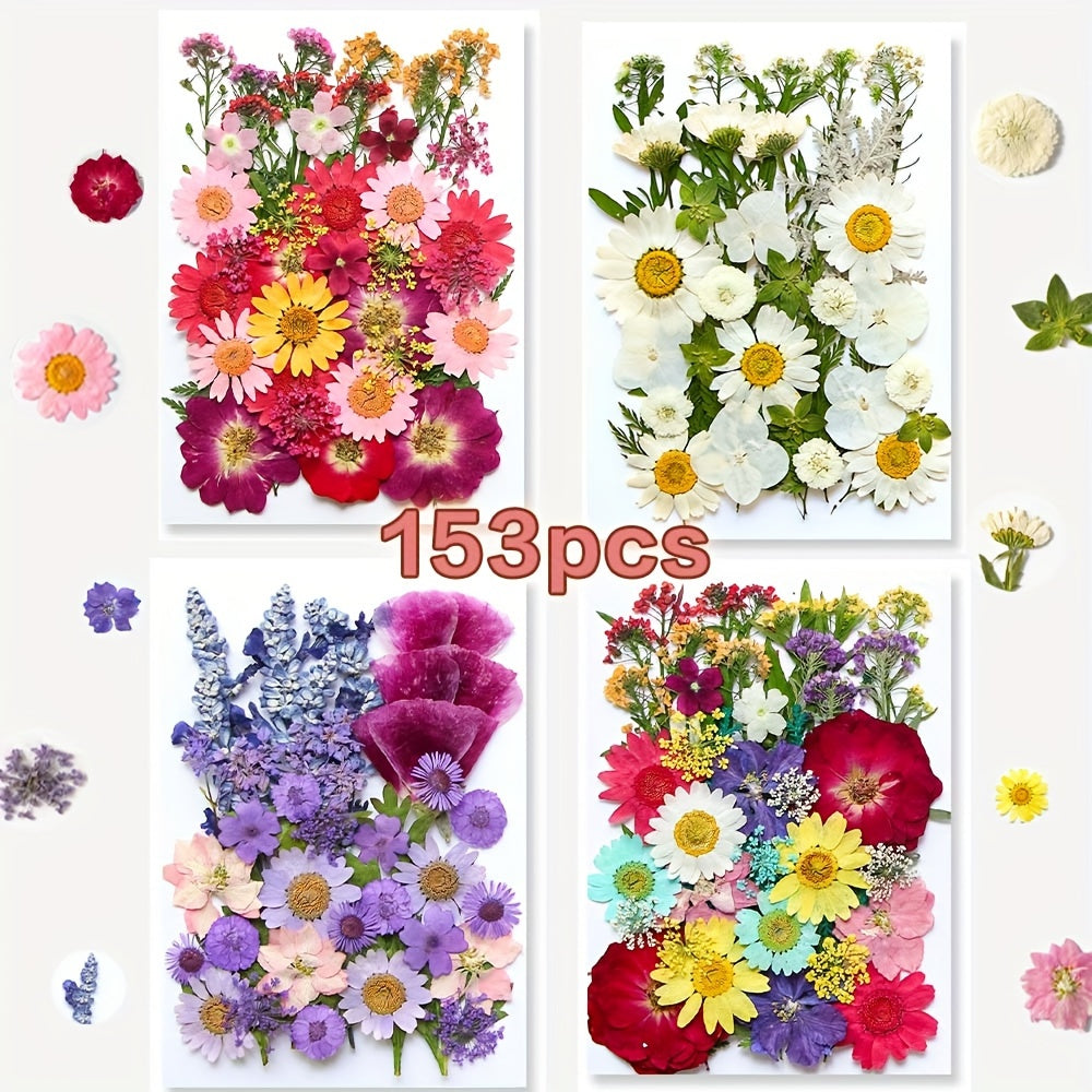 153-160pcs Vibrant Dried Pressed Flowers And Leaves Set - Nature-Inspired Decoration Kit for Crafts, Resin Jewelry, Scrapbooking And More