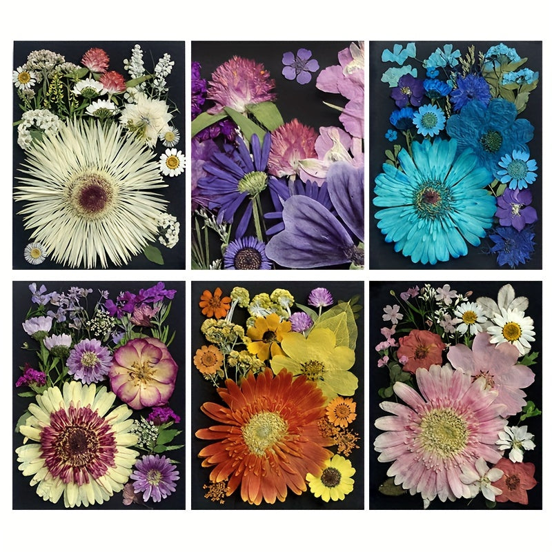 60pcs Dried Pressed Flowers For Resin, Real Pressed Flowers Dry Leaves Bulk Natural Herbs Kit For Scrapbooking DIY Art Crafts, Epoxy Resin Jewelry Molds, Candle, Soap Making, Nails Décor