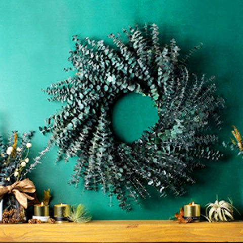 21pcs Real Dried Eucalyptus Stems - Long-Lasting Green Botanical Branches Suitable for Wedding Aisle Decor, Spa, Indoor Hanging Flower Garland - Plastic-Wrapped for freshness (21 Stems)