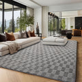 Large Shaggy Area Rug, Soft Fluffy Machine-Washable Indoor Carpet in 5x8, 6x9 and 8x10 Feet for Living Room, Bedroom and Playroom Decor