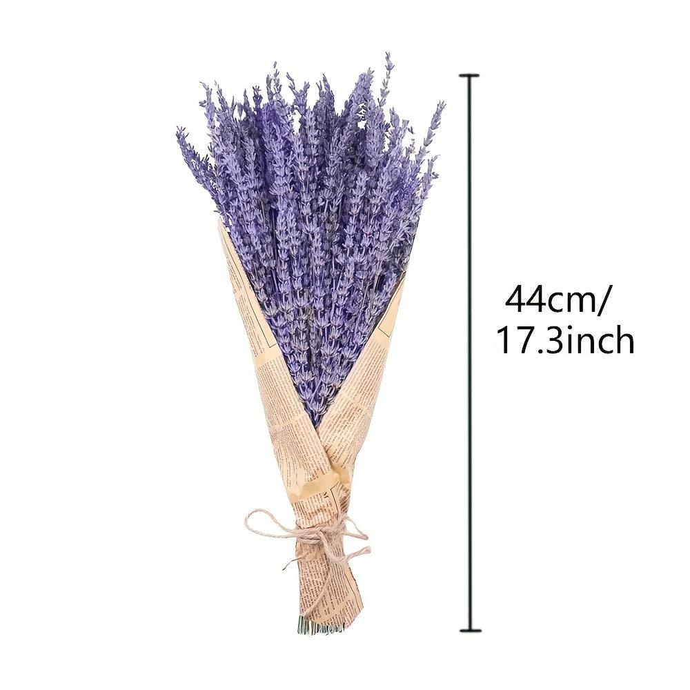 2 Bundles Dried Lavender Bundles, Total of about 210pcs 17-Inch Natural Dried Lavender Flowers for Shower, Home Decoration, Home Fragrance, Wedding Crafts Decor, Photo Props
