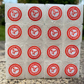 Camphor Blocks, 64-Piece 300 g Pack with Spice Fragrance for Home Scent Routines and Meditation or Yoga Spaces, Use Only as Directed on Package