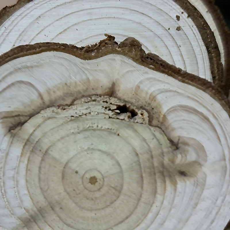28pcs Wooden Coasters Natural Tree Bark Log Slices (2.7-3.5 Inches) | Unpolished Wood Slices Handicraft Art Supplies/ Christmas Decoration Materials/ Woodworking Tool Additions