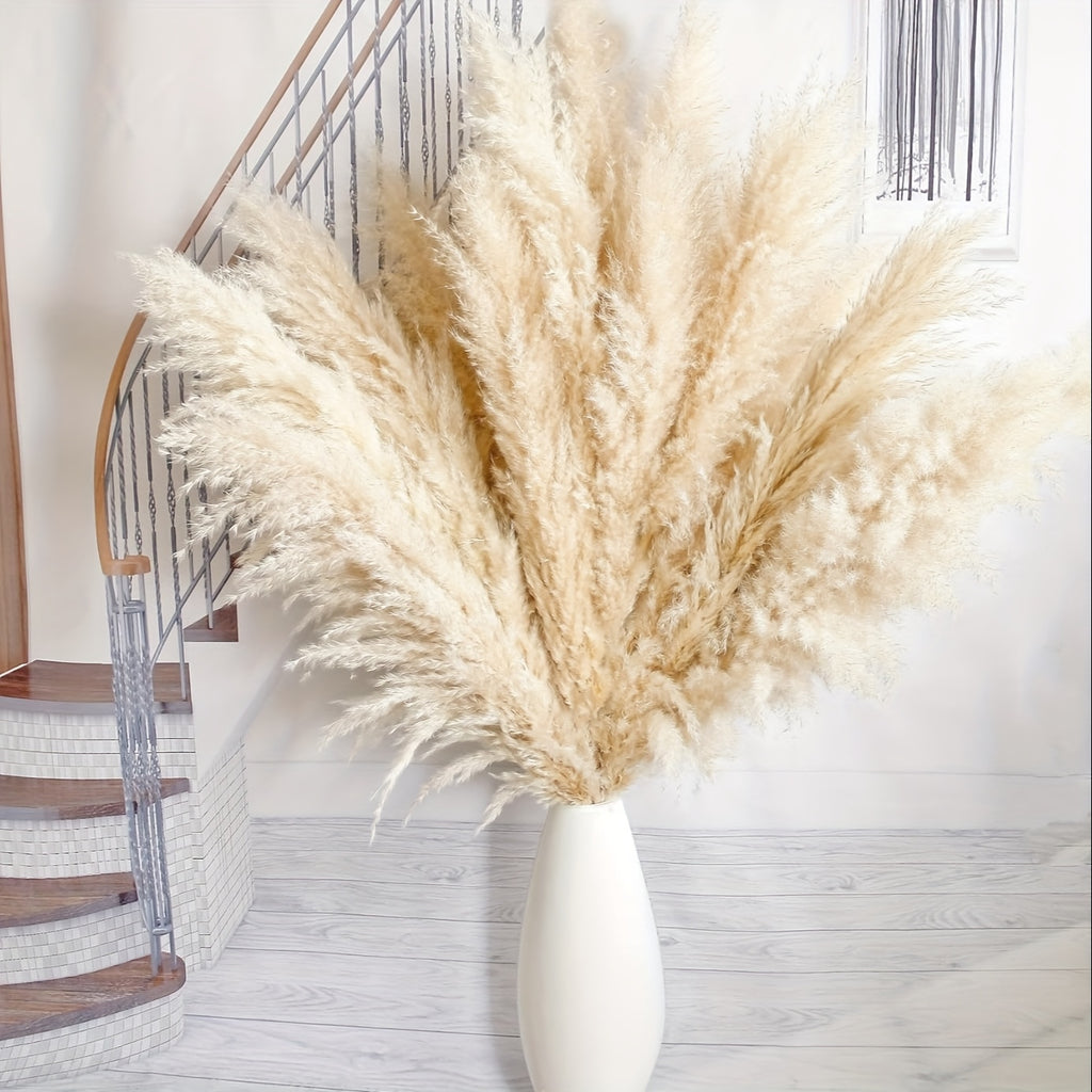 45 Inch Pampas Grass Stalks, 10-Piece Natural Decorative Stem Set for Tall Floor Vases, Living Room Displays, Boho Home Styling and Woven Wall Arrangements