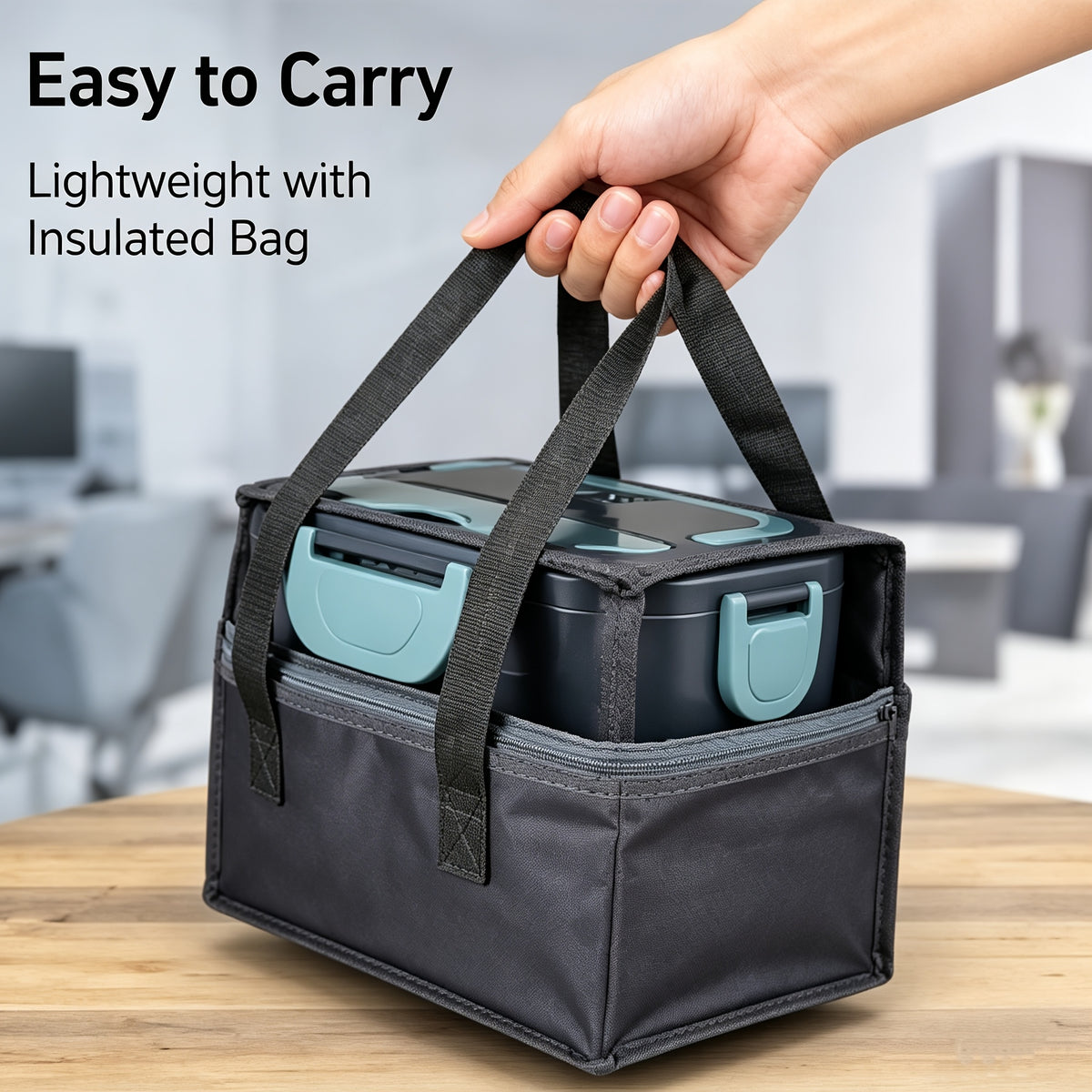 Electric Lunch Box Food Warmer with DC12-24V Car and AC120V Home Power, Portable Divided Meal Container and Insulation Bag for Office Travel