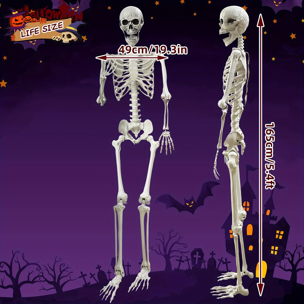 5.4Ft Adjustable Life-Size Human Adult Skeleton Plastic Human Bones with Movable Joints for Halloween Decoration