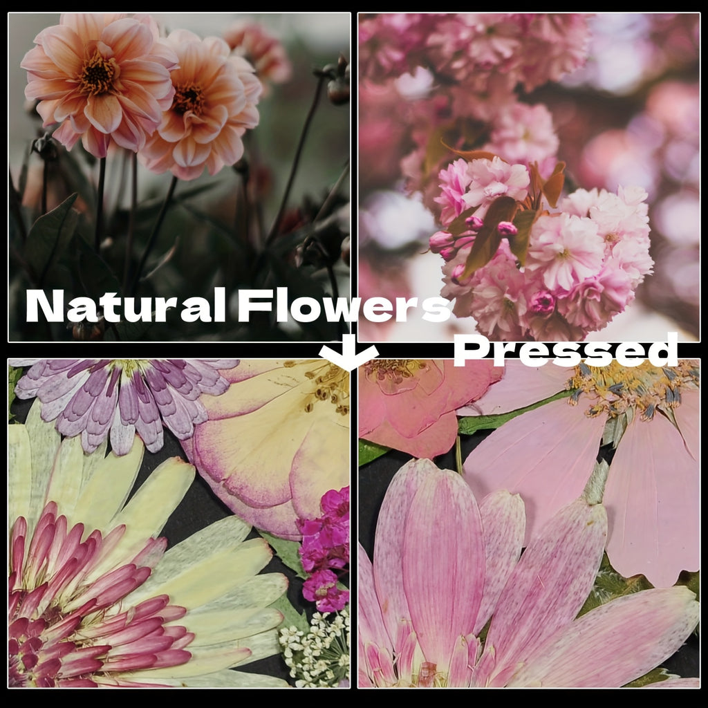 60pcs Dried Pressed Flowers For Resin, Real Pressed Flowers Dry Leaves Bulk Natural Herbs Kit For Scrapbooking DIY Art Crafts, Epoxy Resin Jewelry Molds, Candle, Soap Making, Nails Décor