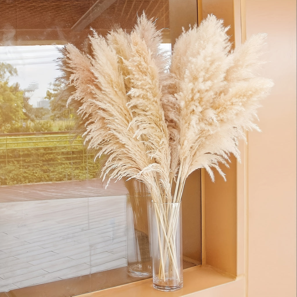 45 Inch Pampas Grass Stalks, 10-Piece Natural Decorative Stem Set for Tall Floor Vases, Living Room Displays, Boho Home Styling and Woven Wall Arrangements
