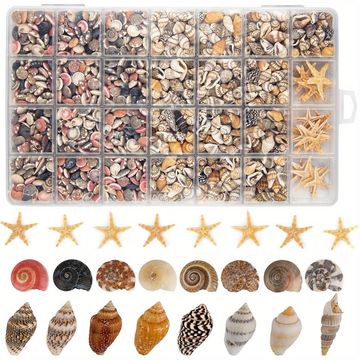1200pcs Tiny Seashells& 21 Starfish Mixed Bulk Beach Small Shells for Home Decor, Beach Theme Party Decorations, Fish Tank Aquarium Decor, Sea Shells for Crafting Vase Filler, Beach Candle