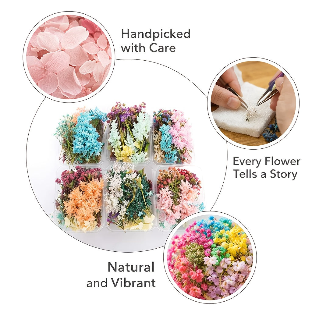 4 Boxes of Mixed Dried Flower Bouquet Sets - Decorative Materials with Dried Flowers And Leaves, Suitable for Resin Jewelry, Art Crafts, And Holiday Decorations (Includes a Greeting Card)