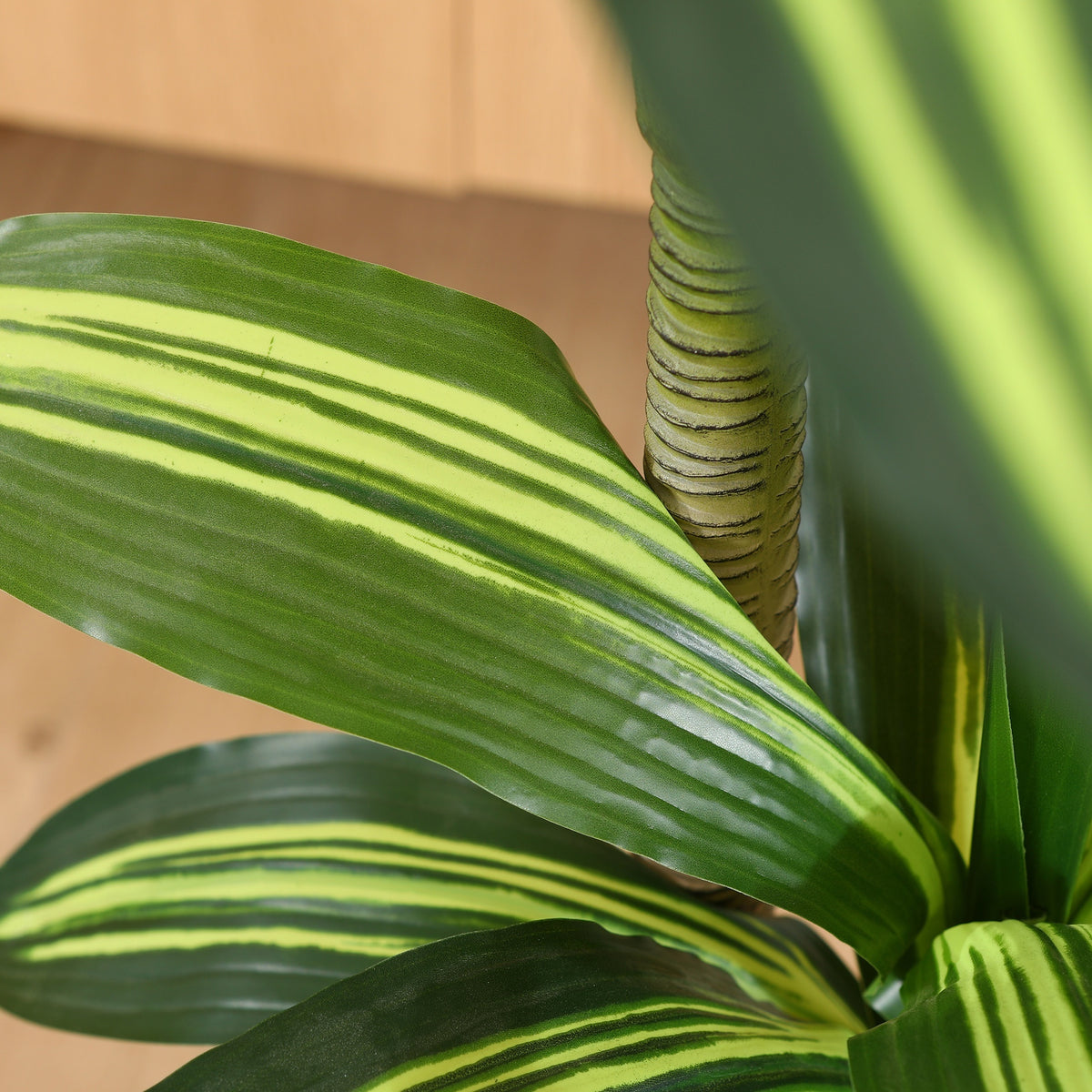 Artificial Dracaena Tree in Pot, 4 5 or 6 Foot Faux Plastic Tropical Floor Plant with Adjustable Branches and Leaves for Living Room and Home Office Decor