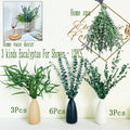 Dried Eucalyptus Shower Stems, 12-Piece Three-Variety Preserved Greenery Option for Hanging Bathroom Decor and Spa-Inspired Home Styling