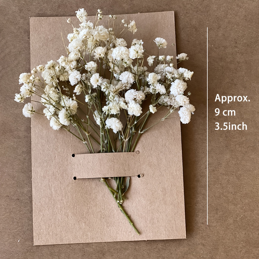 110pcs White Mini Dried Baby'S Breath Bouquet | Pampas Grass, Perfect for Arrangements, Greeting Cards, Weddings, Home & Office Decor