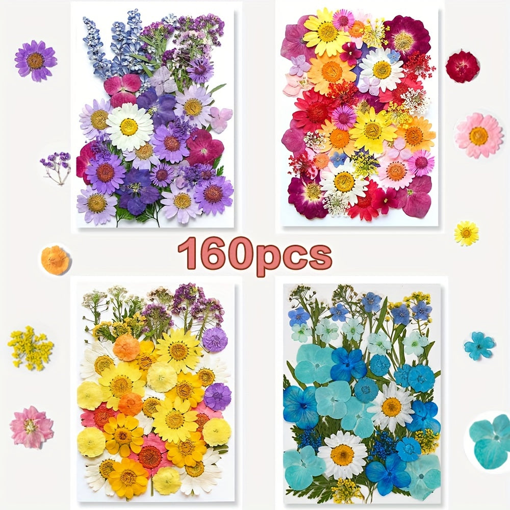 153-160pcs Vibrant Dried Pressed Flowers And Leaves Set - Nature-Inspired Decoration Kit for Crafts, Resin Jewelry, Scrapbooking And More
